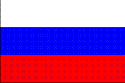 image of NEW flag